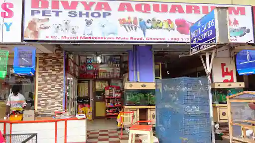 Divya aquarium and sales pet shop